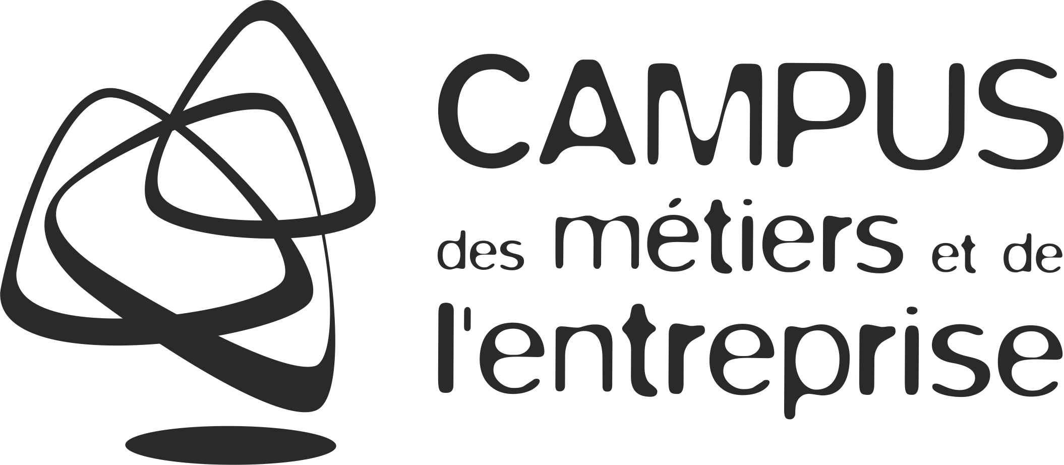 CMA Formation IDF